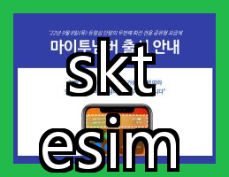  SKT eSIM으로 듀얼유심 사용 가능하다