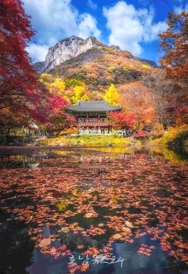  애기단풍길로 유명한 천년고찰 장성 백양사에서 만나는 문화‧예술