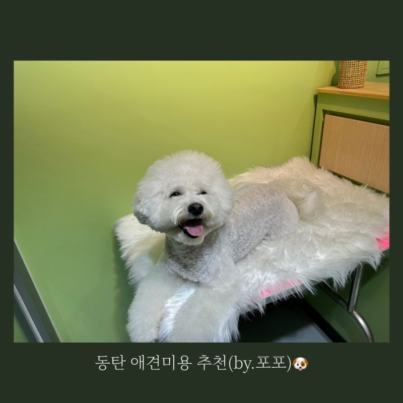 사진 3