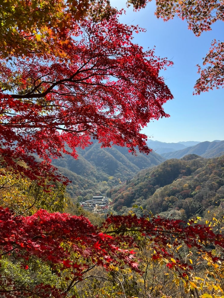  가을 단풍의 최고라 불리는 내장산 국립공원 백양사 (백양사~약사암 코스)