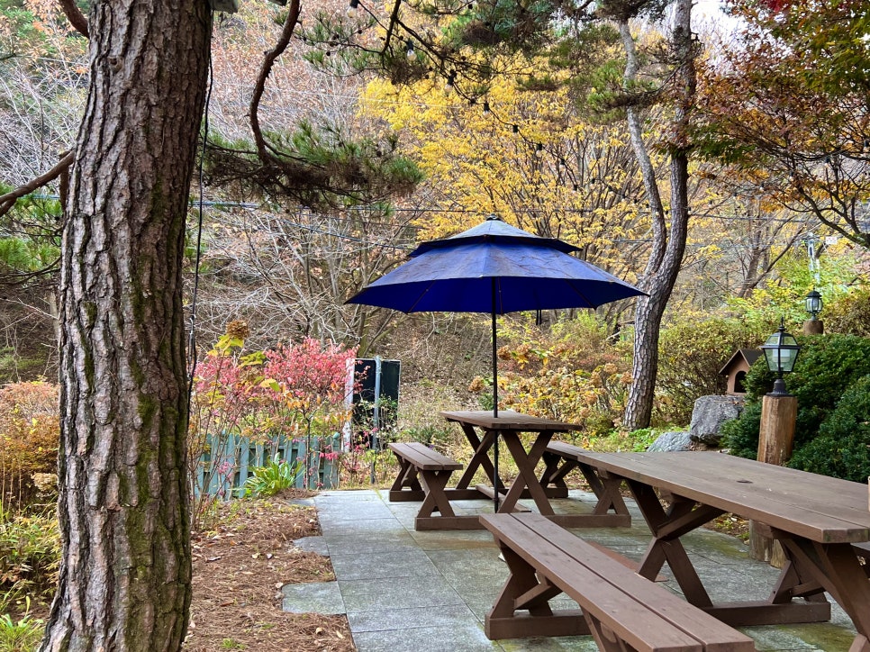 장심리계곡 사진 5