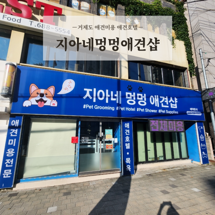  거제도 애견 놀이방 미용 호텔 맡길만한곳 지아네멍멍애견샵