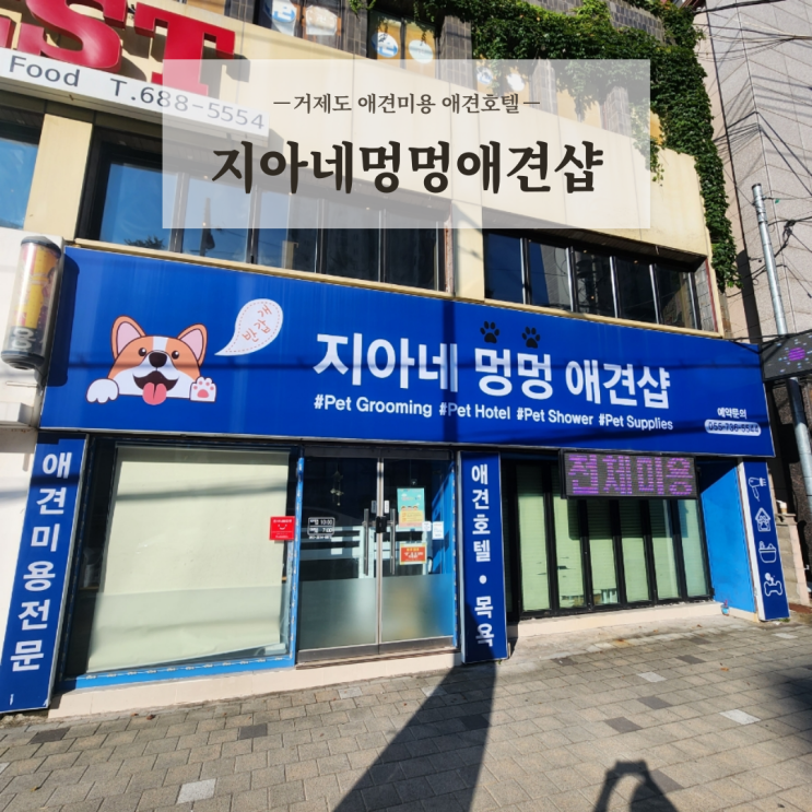 거제도 애견 놀이방 미용 호텔 맡길만한곳 지아네멍멍애견샵