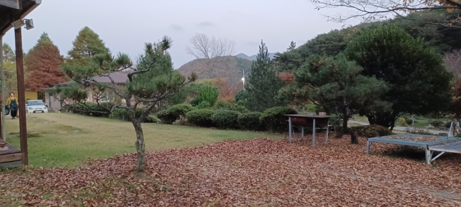 들풀 사진 4