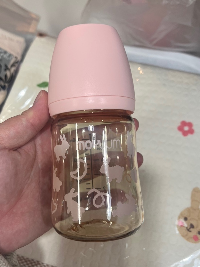  임신기록 3