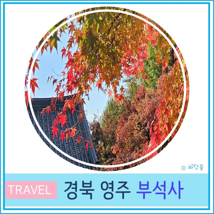  대구 근교 산책하기좋은  영주 부석사 은행나무길 주차장 경북 가을 단풍 여행 가볼만한 곳 유명 사찰 절 투어