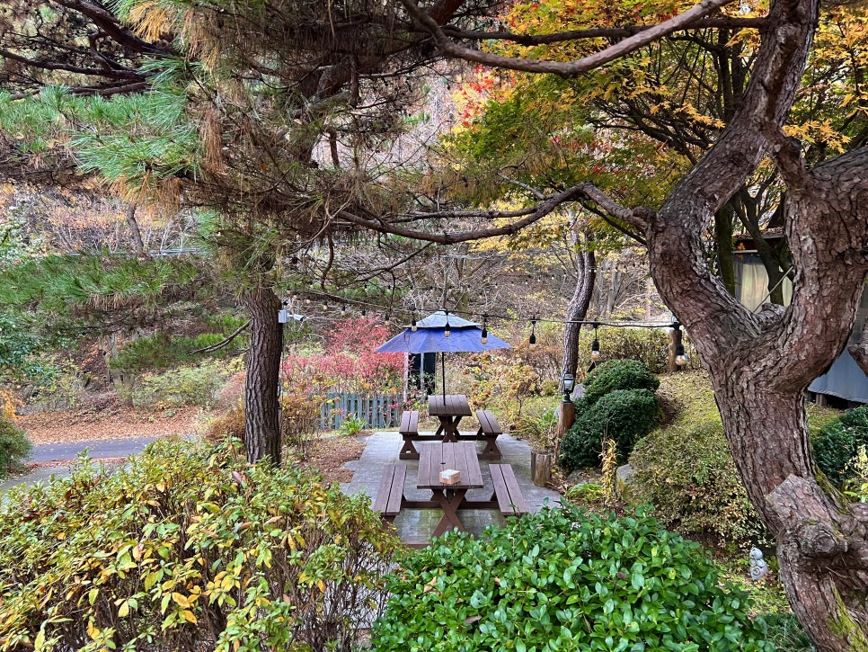 장심리계곡 사진 4