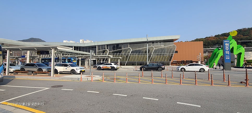 덤바우산 사진 2