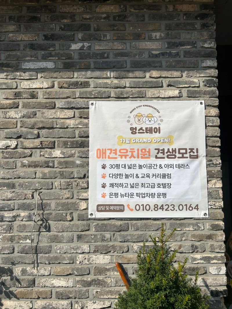 사진 5