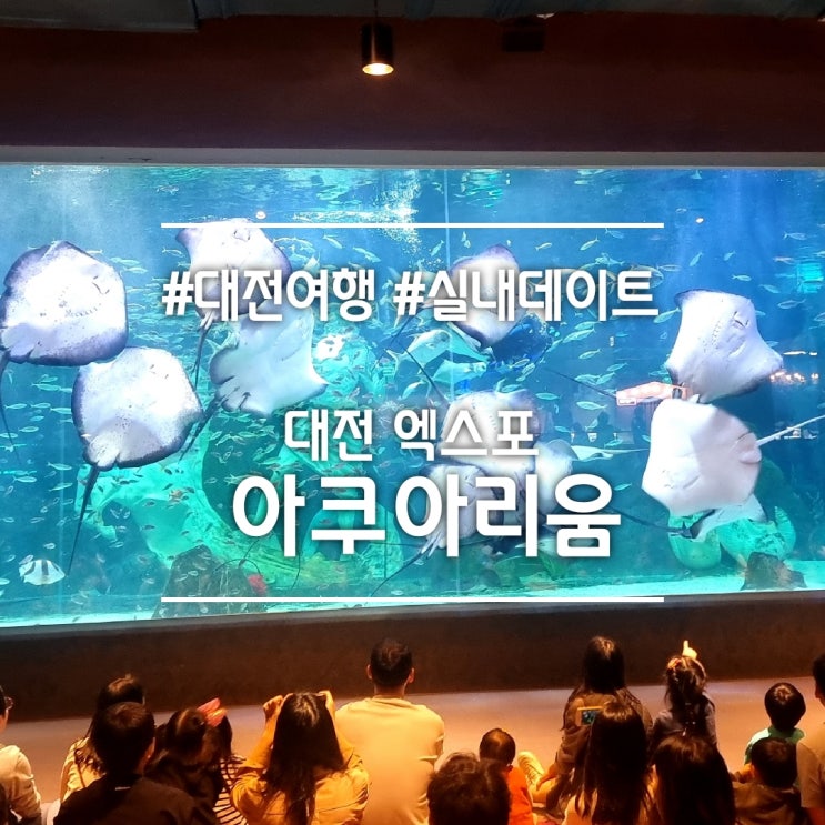  대전 여행 가볼만한곳] 대전 엑스포 아쿠아리움 || 실내데이트 주차Tip 공연시간 (+대전 오월드 패키지 할인)