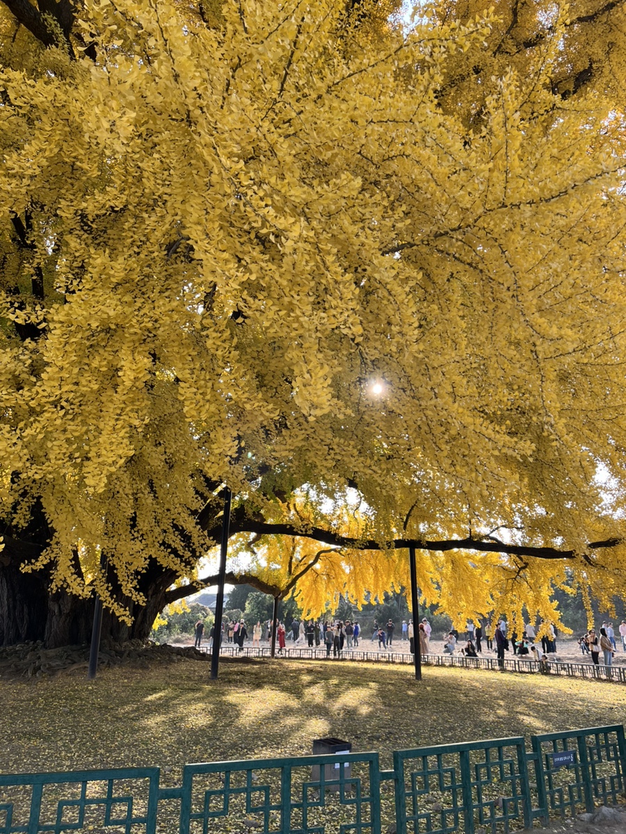 카페셜리 사진 4