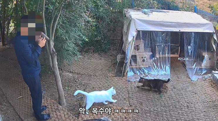  이제 옥수도 지붕에 올라갈 수 있다 & 입 짧은 수마니 : 유기묘옥수