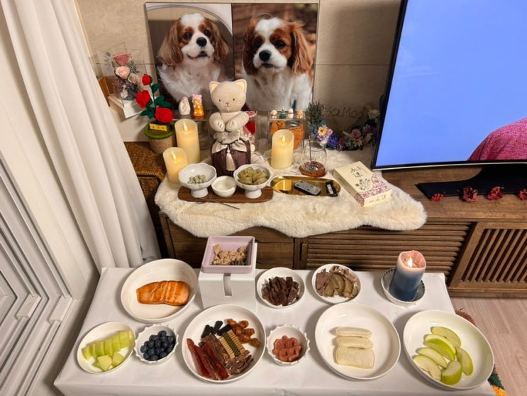  강아지 무지개다리 건넌지 100일, 상을 차려줬어요.