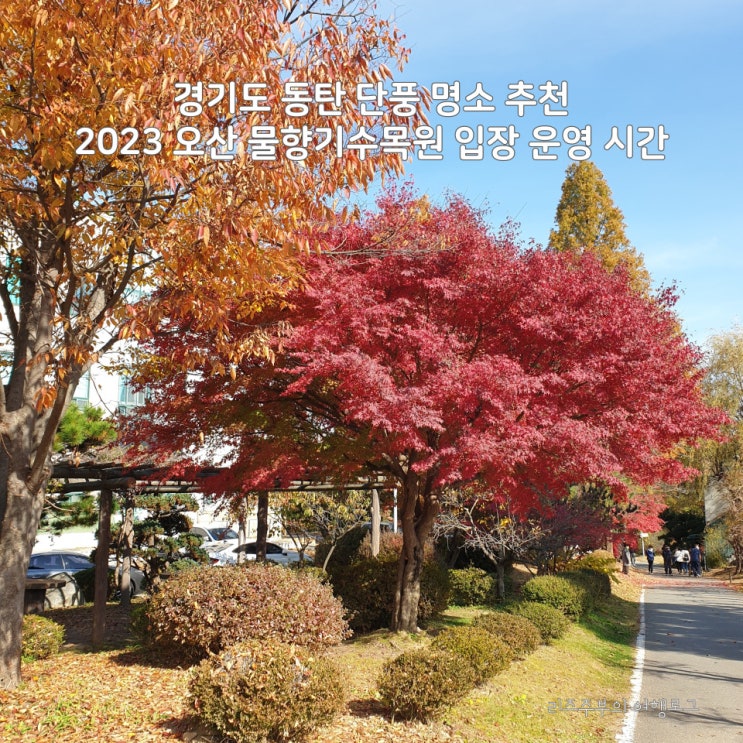  경기도 오산 단풍 명소 추천 : 2023 물향기수목원 입장 운영 시간