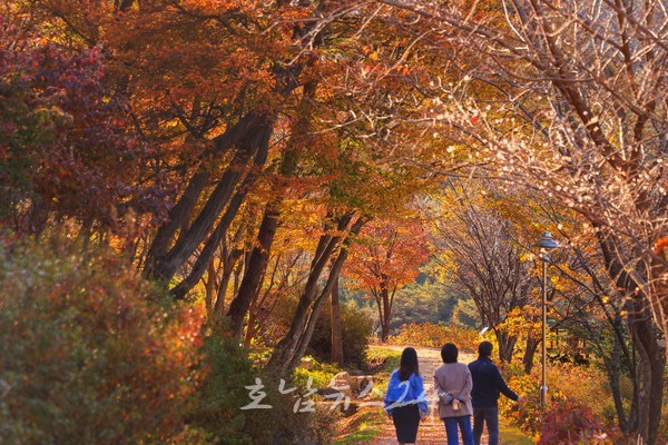  올가을 감성 여행은 구례수목원으로..700여 종 수목들 가을향기와 단풍으로 가득