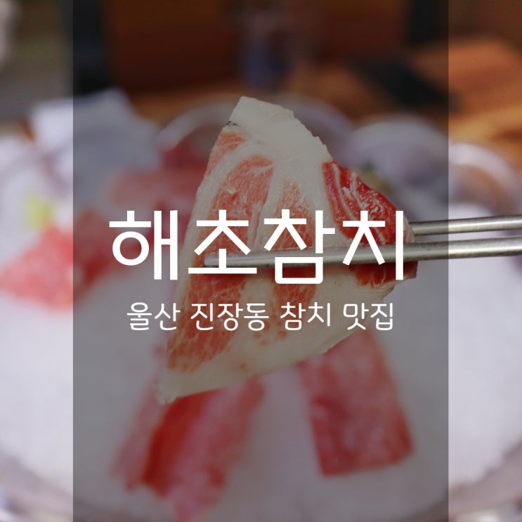  해초참치 - 울산 진장동맛집 오마카세