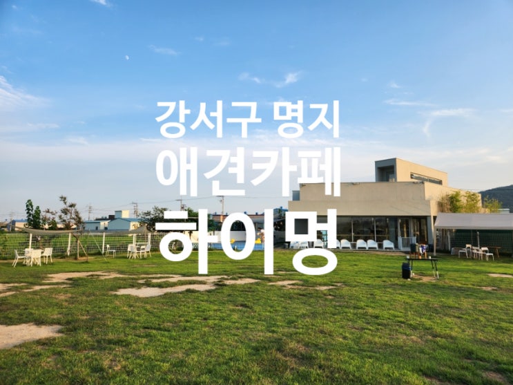  강아지 풀장이 있는 애견카페 부산 강서구 하이멍