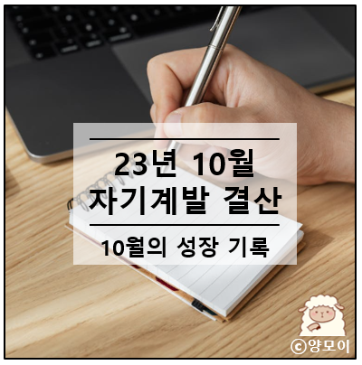  23년 10월 자기계발 결산 (10월의 성장 기록)