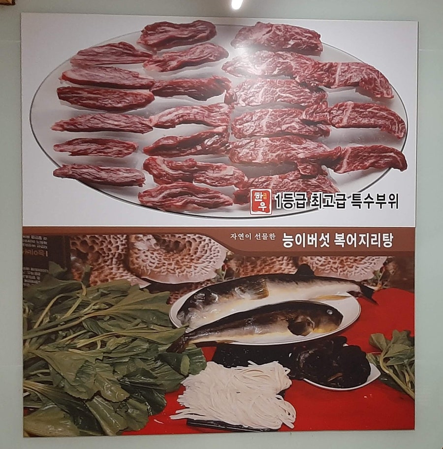 복돈 사진 2