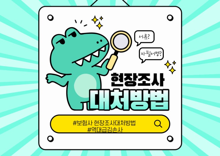  보험사의 현장조사 2탄 - feat. 대처방법