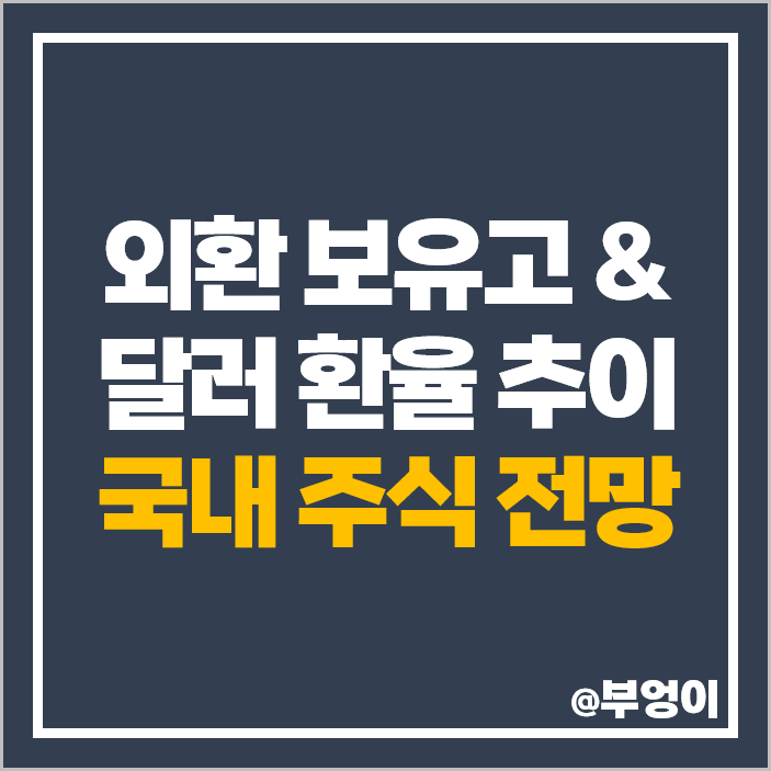 역대 한국 외환보유고 원달러 환율 추이 평균 최고 최저 주식 전망 역대 한국 외환보유고 원달러 환율 추이 평균 최고 최저 주식 전망