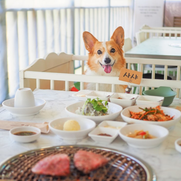 강아지 잔디 운동장이 있는 용인 애견동반 식당 <b>김남희</b> 한우