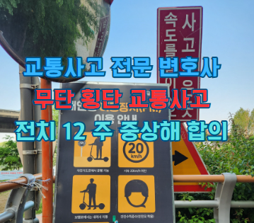  [교통사고전문변호사] 무단횡단 교통사고, 골반, 치골, 비골(코) 골절, 전치 12주 중상해, 피해자 합의
