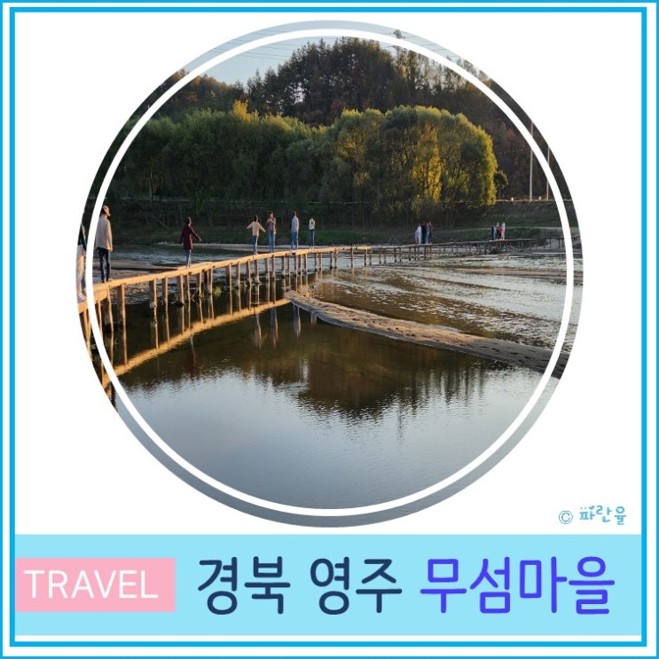  영주 무섬마을 외나무다리 주차장 경북 여행 가볼만한 곳 11월 드라이브 산책하기 좋은 곳