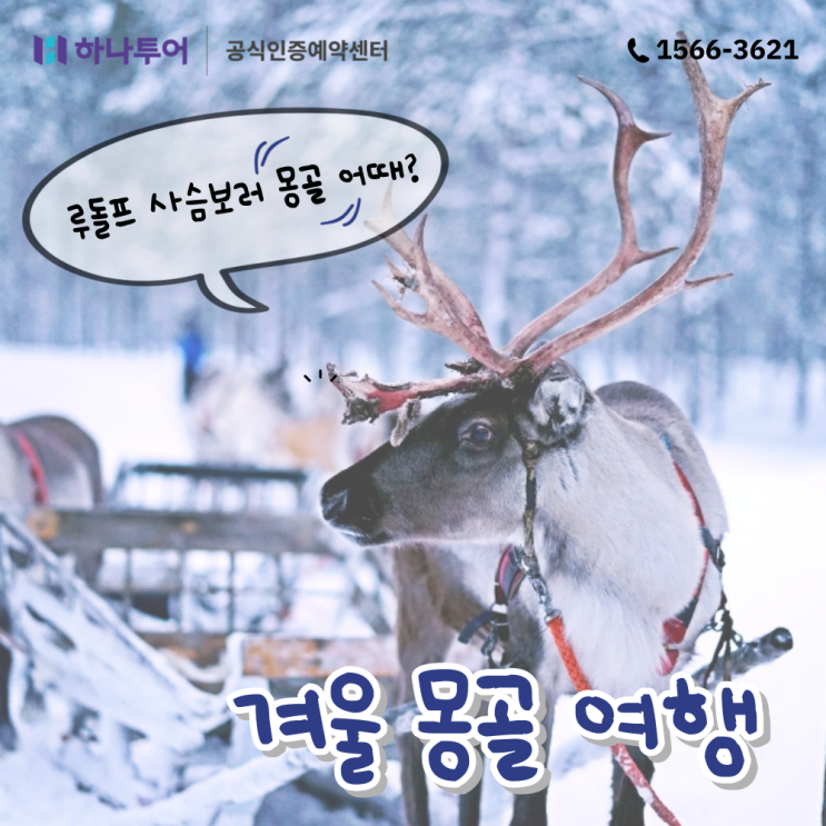  루돌프 사슴 보러 몽골 어때? 겨울 해외여행