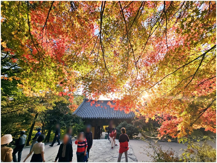  부석사_ 무량수전 배흘림기둥이 유명한 경북 영주 단풍 명소 가을 여행