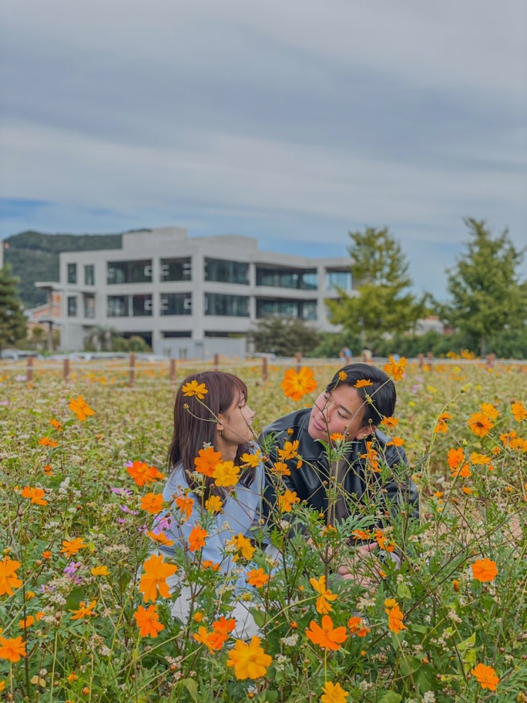  [마산] 날씨 좋은 가을 날, 가볍게 꽃보러 가기 좋은 마산 덕동 맑은물 플라워 가든
