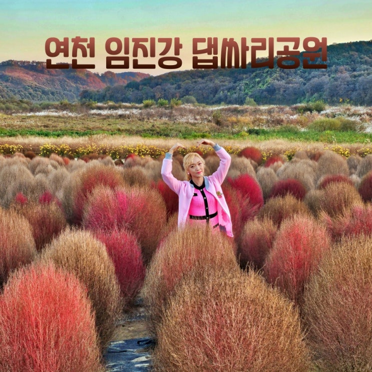  연천 임진강 댑싸리공원 여행하기 좋아요
