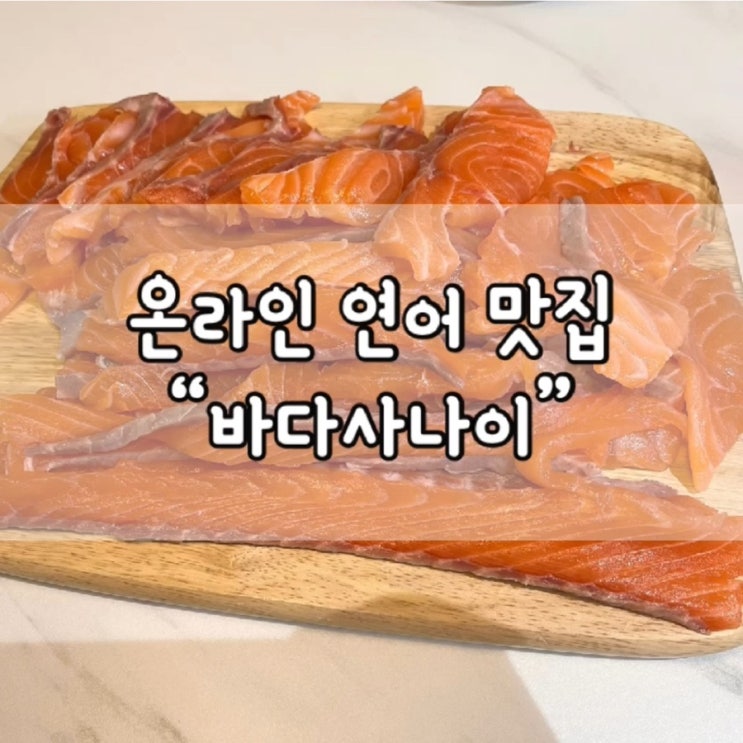  바다사나이 연어 / 연어 국수 / 연어 국수 만들기 / 연어 요리 / 연어 국수 레시피 /연어 국수 황금레시피 / 내돈내산 / 바다사나이 / 바다사나이 추천