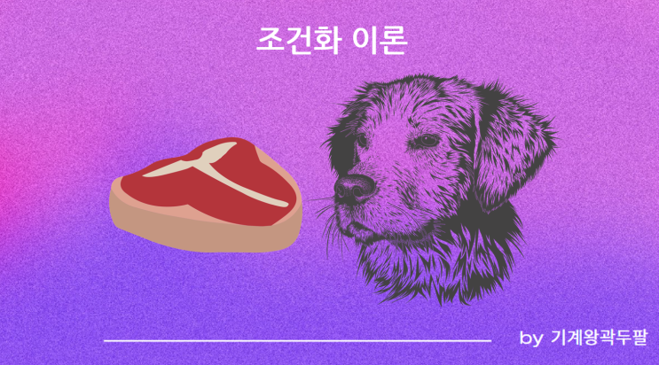  조작적 조건형성, 조건화를 통한 이해!