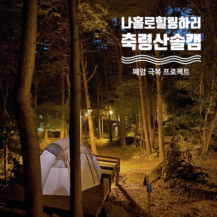  나 홀로 힐링하러 떠나는 축령산 자연휴양림 솔캠
