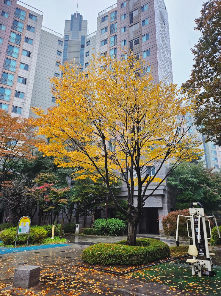  육아맘 에세이 13화. 나는 아이에게 어떤 영향을 주는 엄마인가?
