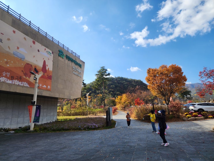 국립백두대간수목원 아이와 경북 봉화 여행으로 가볼만한 곳으로 추천 국립백두대간수목원 아이와 경북 봉화 여행으로 가볼만한 곳으로 추천