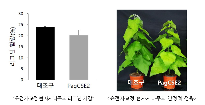 국립산림과학원, ‘대한민국발명특허대전’서 동상 수상 국립산림과학원, ‘대한민국발명특허대전’서 동상 수상