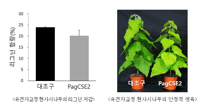 국립산림과학원, ‘대한민국발명특허대전’서 동상 수상