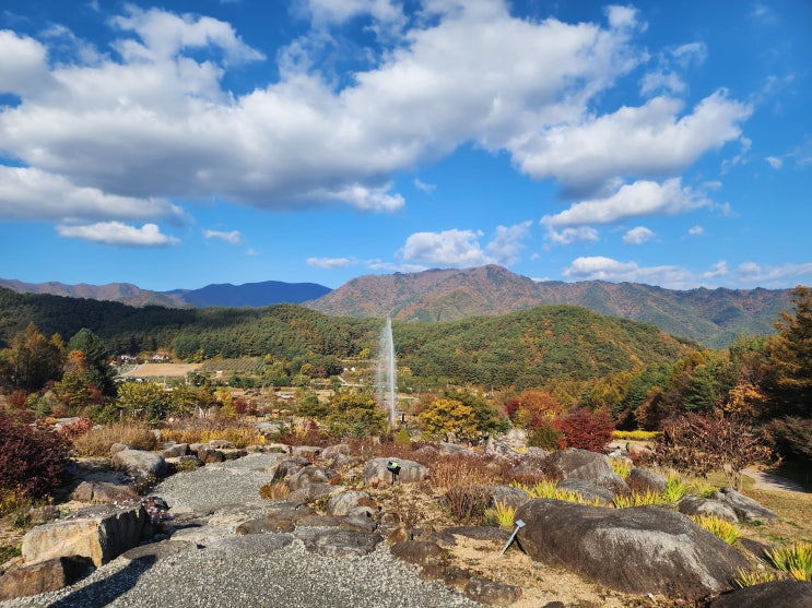 경북 봉화 여행으로 가볼만한 곳 분천역산타마을, 억지춘양시장 할로윈축제, 국립백두대간수목원으로 다녀온 가을여행 경북 봉화 여행으로 가볼만한 곳 분천역산타마을, 억지춘양시장 할로윈축제, 국립백두대간수목원으로 다녀온 가을여행