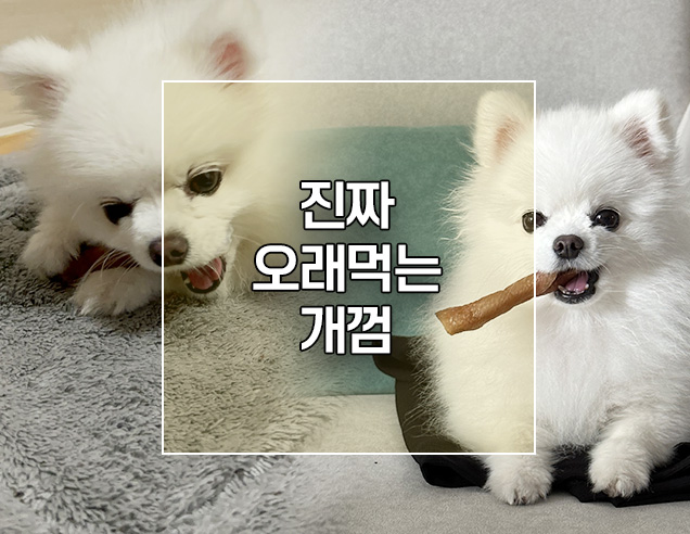 진짜 오래씹는 개껌 양고기힙스틱 간식