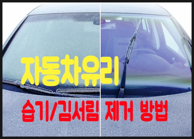  겨울철 자동차 앞 유리 습기 제거, 김서리(성애) 방지 방법