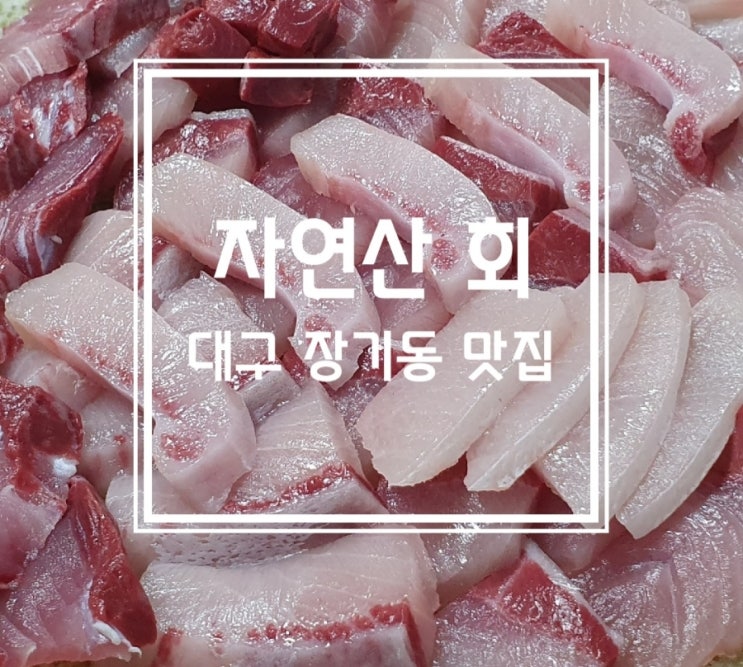  대구 장기동 맛집 대구 용산역 맛집 자연산 회