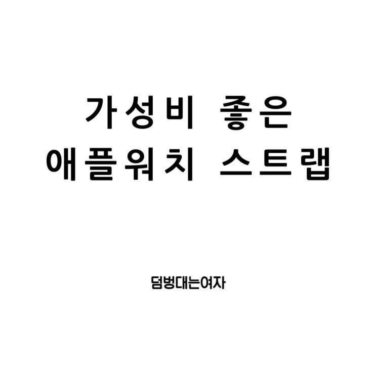  애플워치 스트랩 추천, 케이스까지 세트로? 가성비가 최고네 우먼9999 (내돈내산)