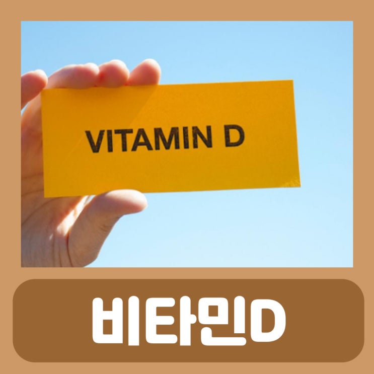  비타민디 주사 효능 비타민 D주사 가격 부작용