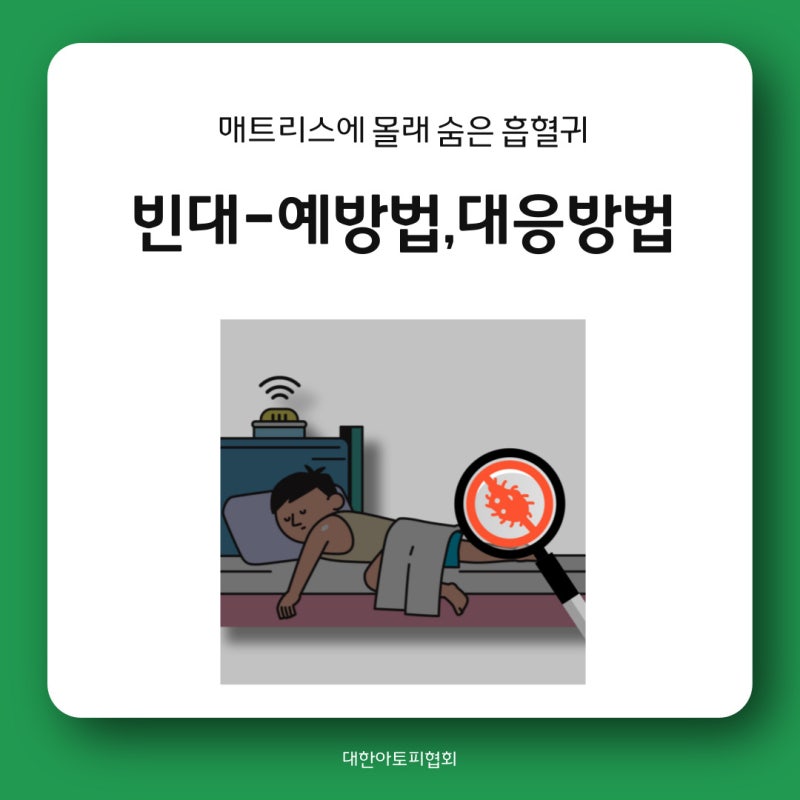 매트리스 위의 빈대