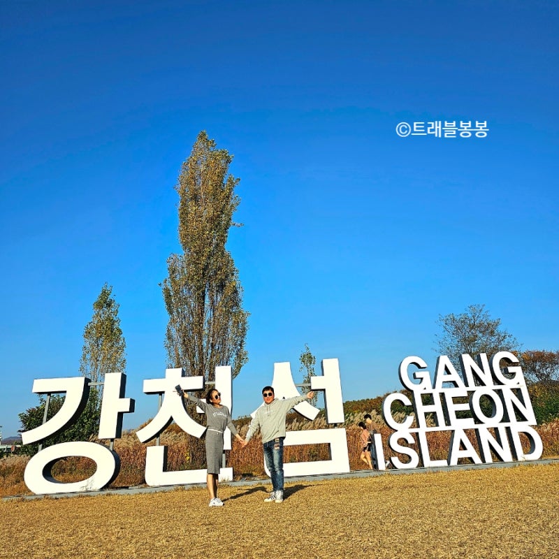 [여주] 강천섬 유원지 은행나무 길 단풍 주차장 여주 놀거리 경기도 가을여행 : 네이버 블로그