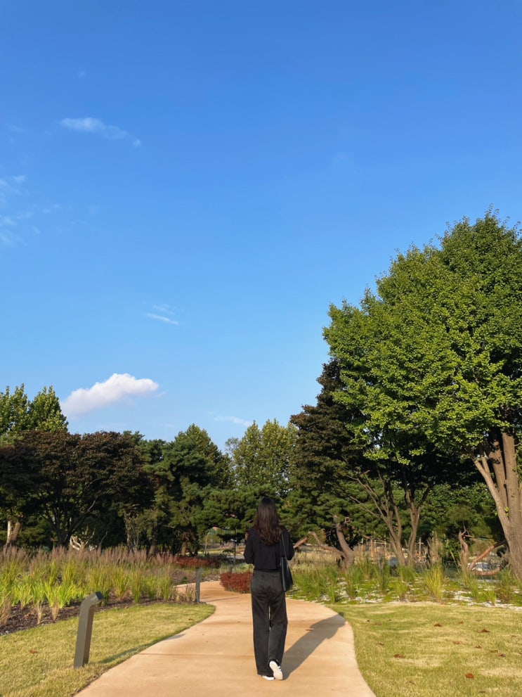 용산어린이정원 예약:) 미국시골마을에 온듯한 힐링산책길, 온화 전시