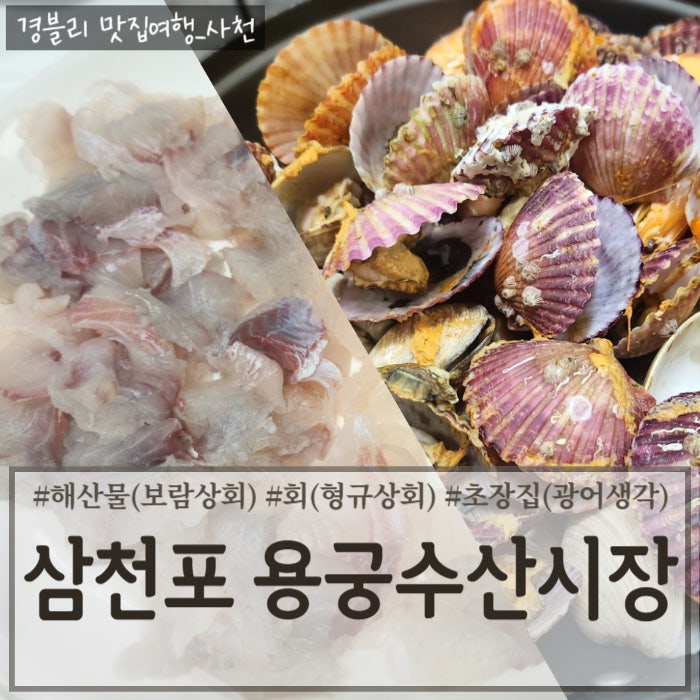 사천 삼천포 용궁 수산시장에서 해산물, 회 포장 (Feat. 회초장식당 광어 생각)