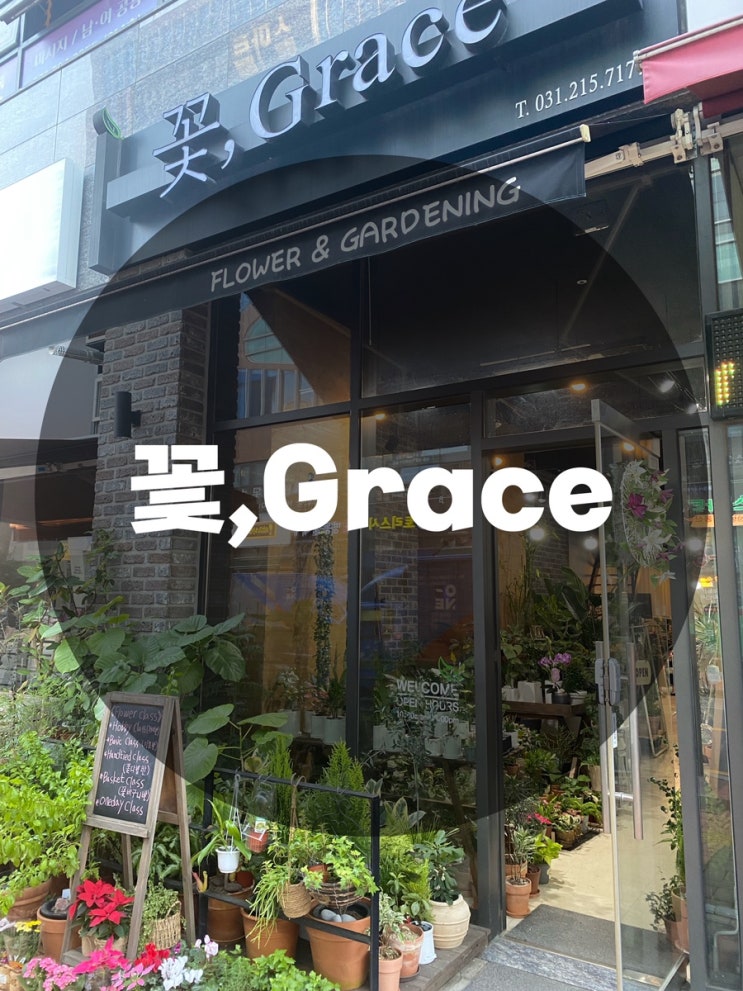  : 경기 수원시 영통구 : 광교꽃집 수원꽃집 수원꽃배달 꽃,그레이스 꽃,Grace